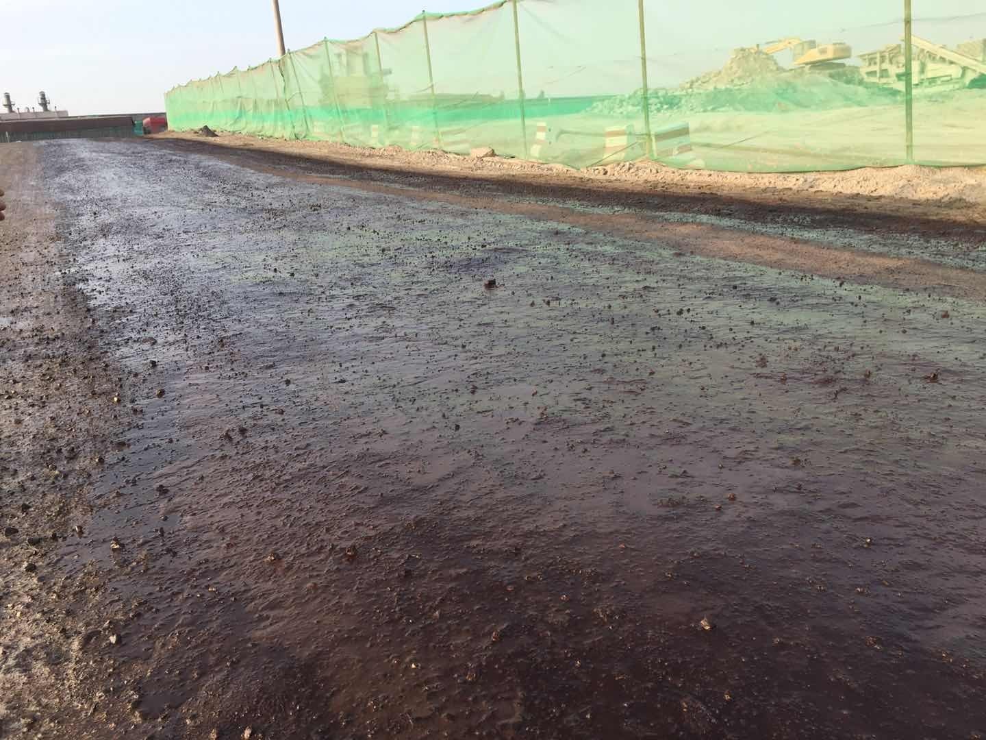 香港澳六宝典资料大全