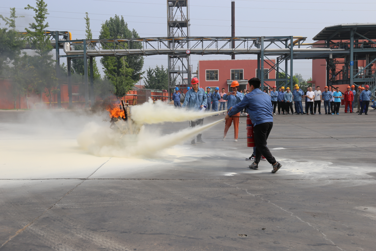 香港澳六宝典资料大全