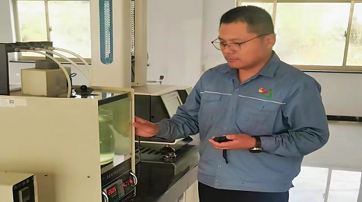 香港澳六宝典资料大全